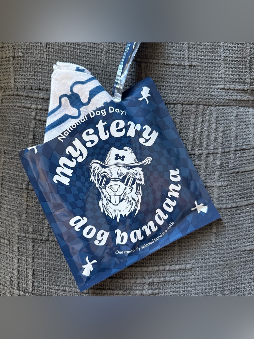 Dutch Bros Dog Bandana August National Dog Day 2026 - White Bandana